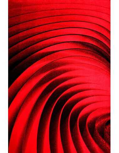 Covor Kolibri 11006-120 - 1