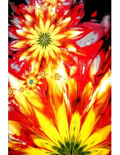 Covor Kolibri 11012-150 - 1