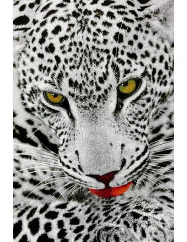 Covor Kolbri 11122-190 - 1 Covor Kolbri 11122-190 - 1