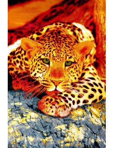 Covor Kolibri 11123-120 - 1