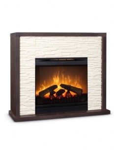 SEMINEU ELECTRIC BRAGA DF2010 - 1