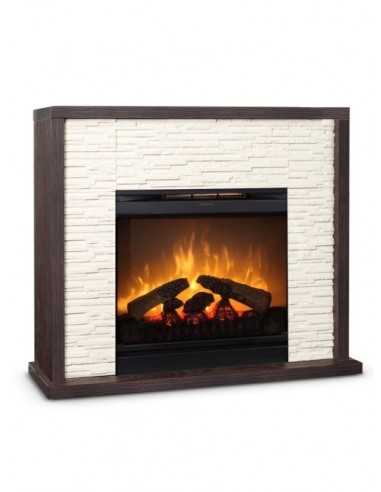 SEMINEU ELECTRIC BRAGA DF2010 - 1 SEMINEU ELECTRIC BRAGA DF2010 - 1